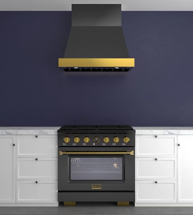 Kucht 30 in. 900 CFM Wall Mounted Range Hood in Titanium Stainless Steel KRH30TG