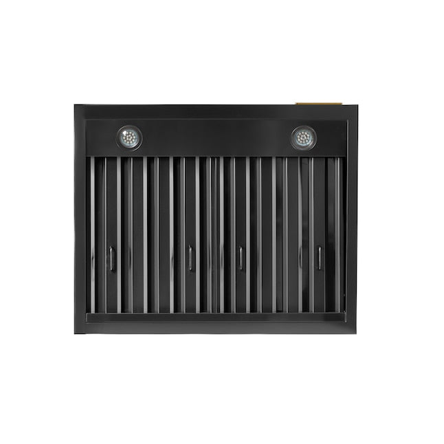 Kucht Professional 30 in. Wall Mounted Range Hood 900CFM KRH303A - image 4